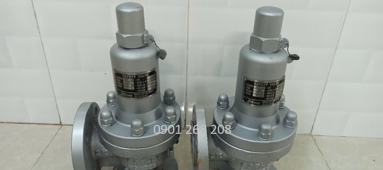 Van an toan bon chua noi bich DN25 WSLT-5124M MS Eng